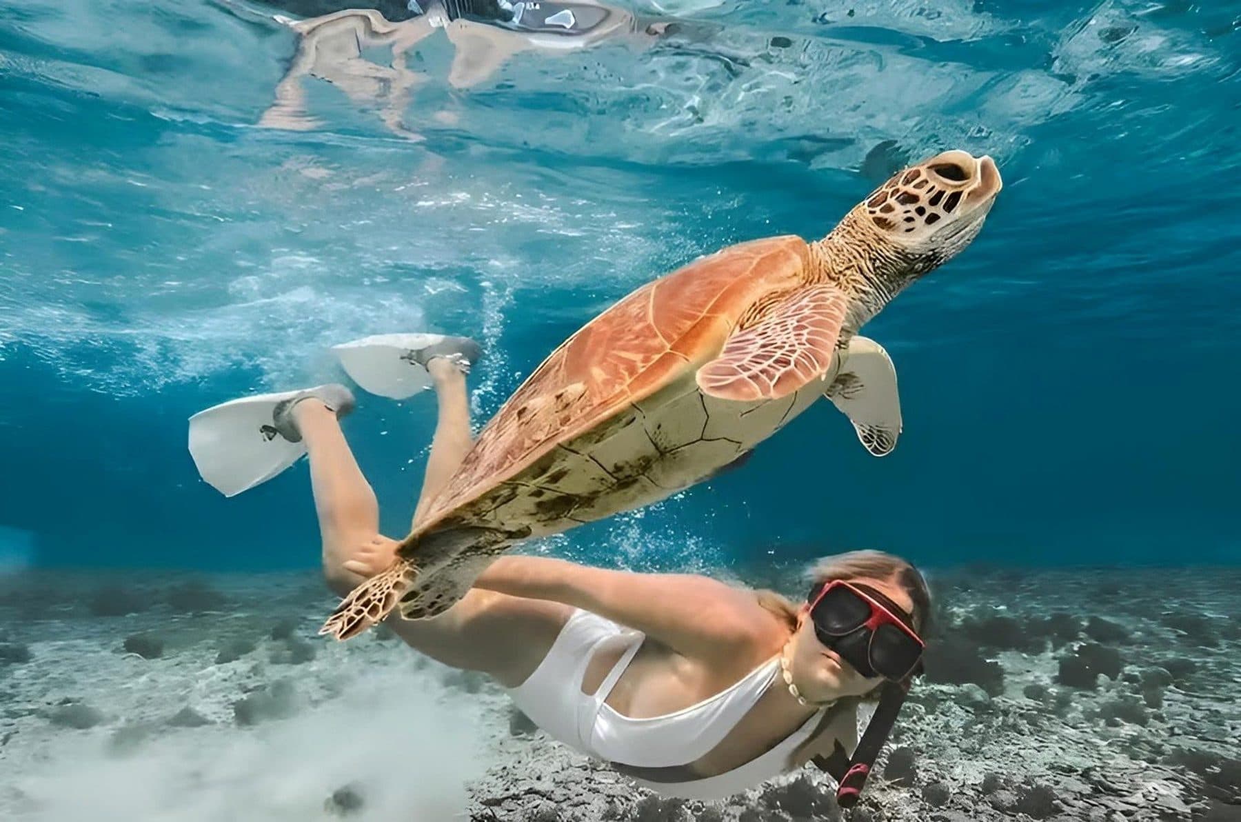 Snorkeler swimming beside a sea turtle in Gili waters