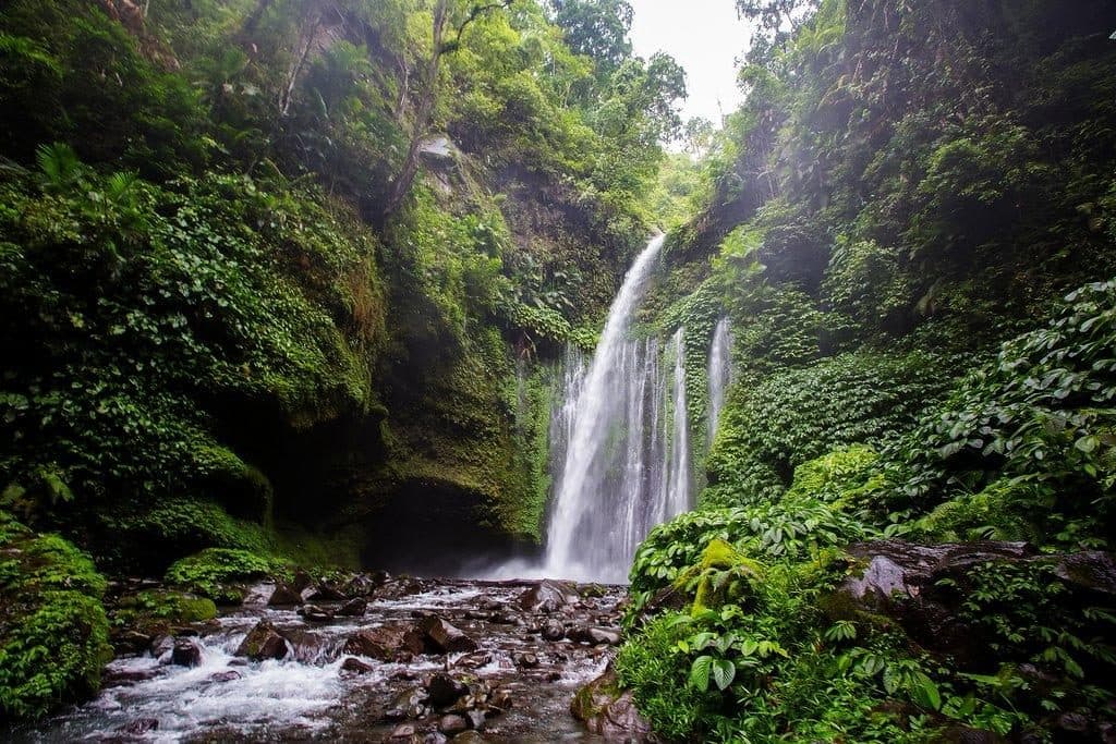 Rocky stream leading to Sendang Gile in the Senaru rainforest