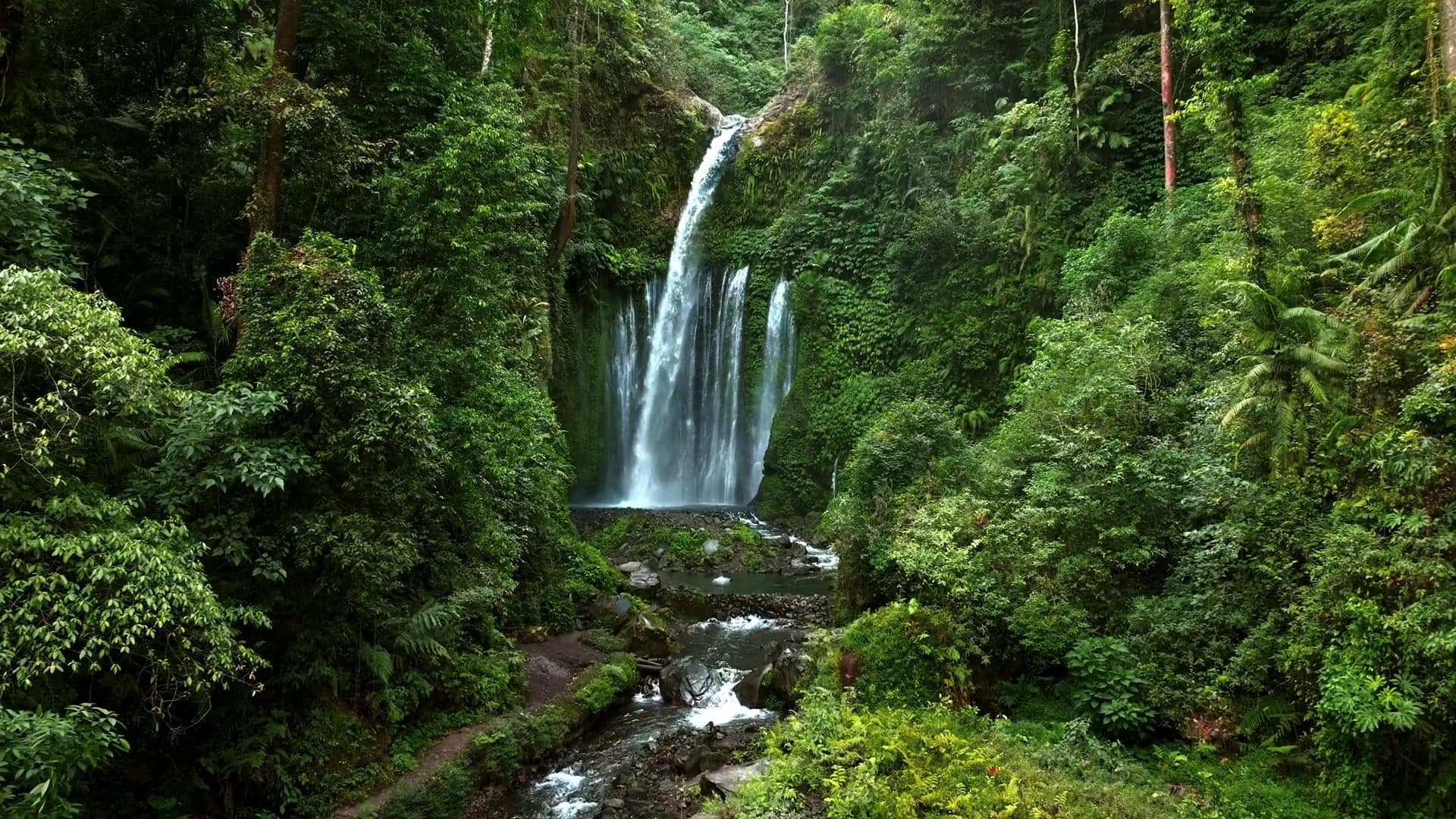 Tiu Kelep seen through dense jungle around Senaru