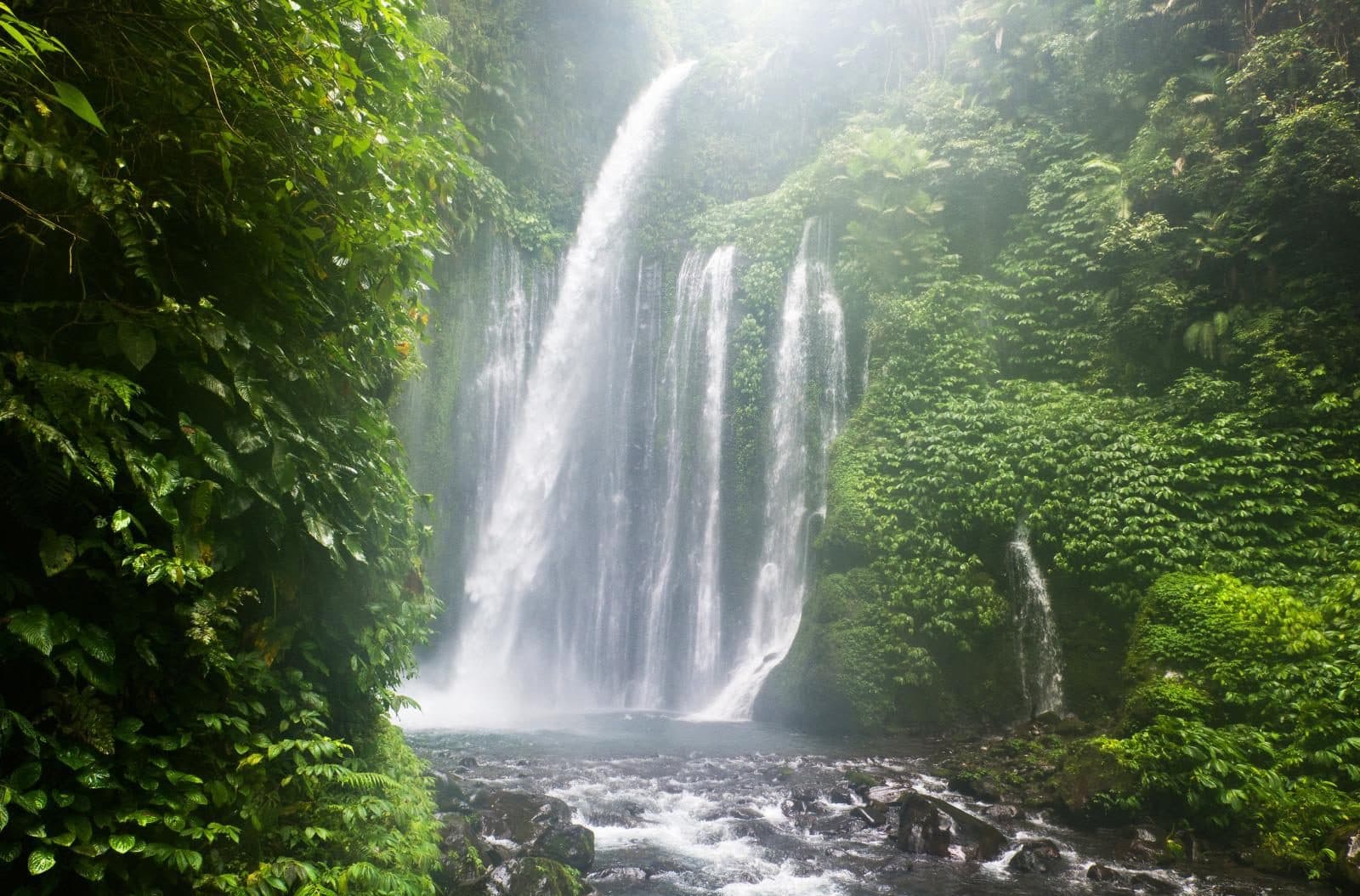 Mist rising from Tiu Kelep in the rainforest