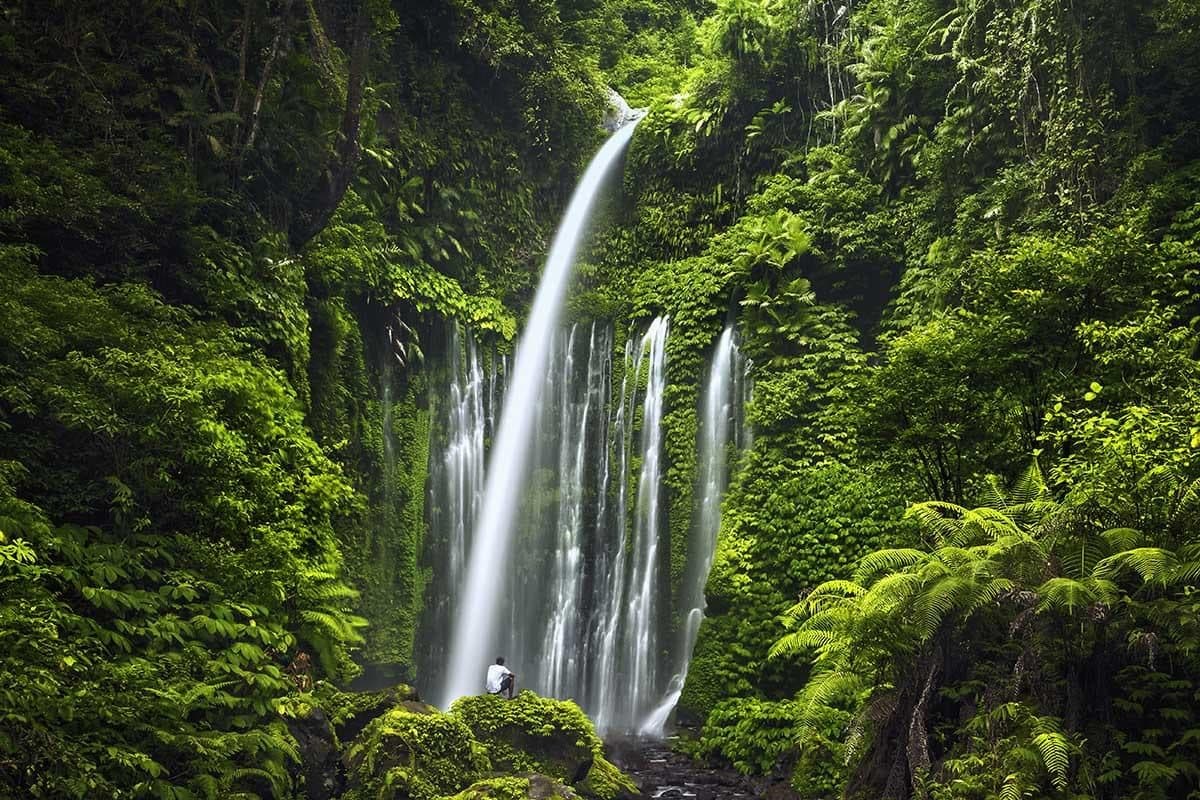 Sitting beside the mossy curtain of Tiu Kelep