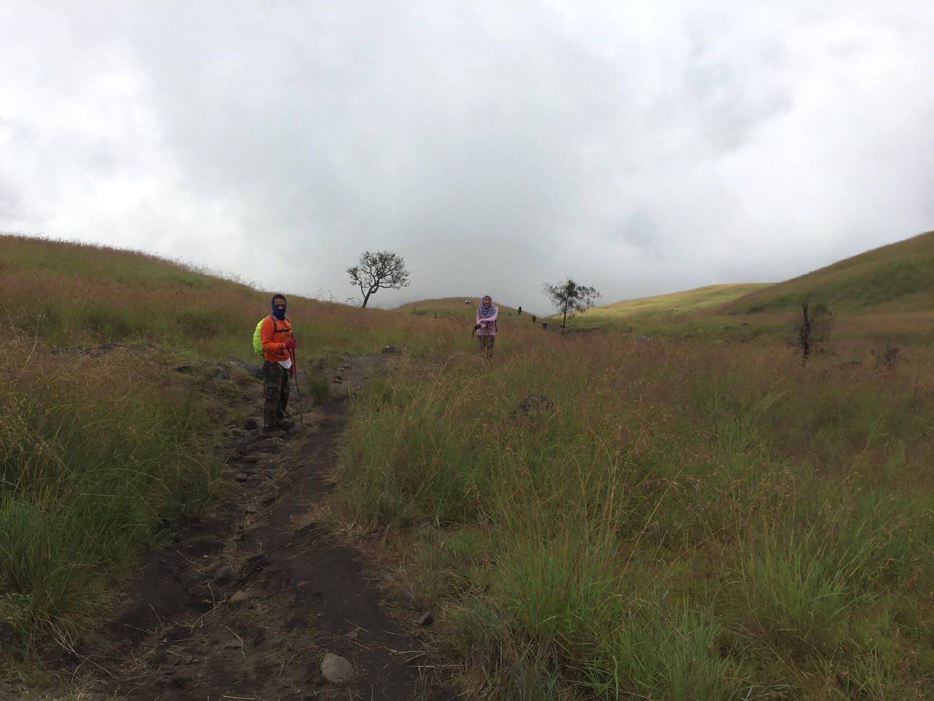The savanna and volcanic landscape of the Rinjani region above Senaru