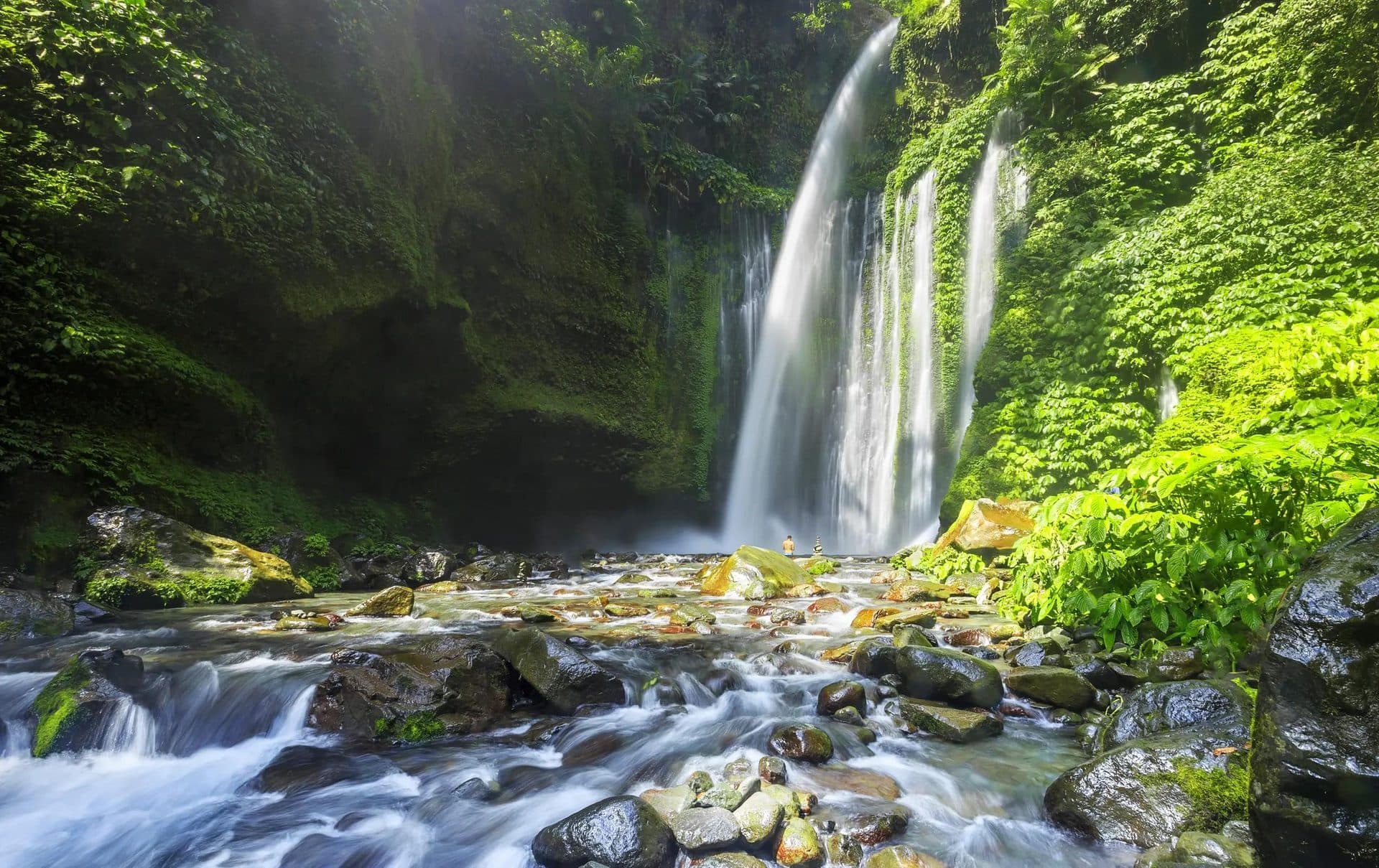 Tiu Kelep waterfall in the rainforest below Senaru
