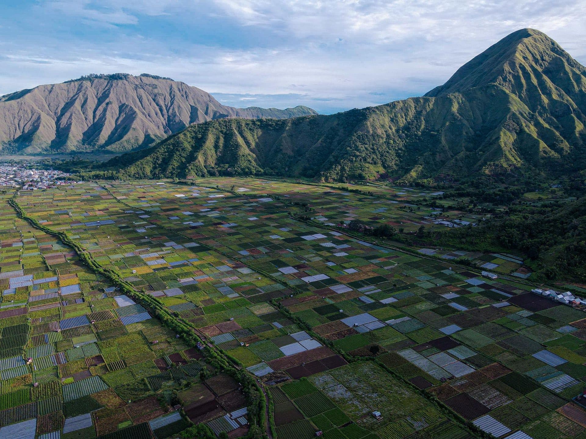 Aerial view of Sembalun Valley farmland beneath the green hills of Mount Rinjani