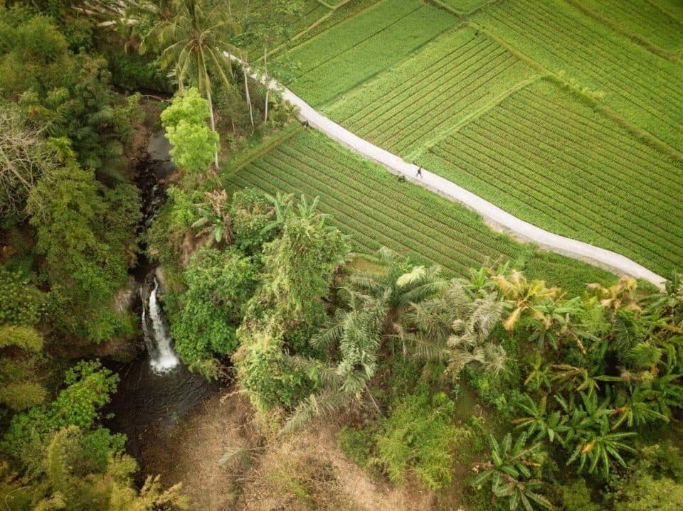 Aerial view of a waterfall and rice fields along a path near Tetebatu
