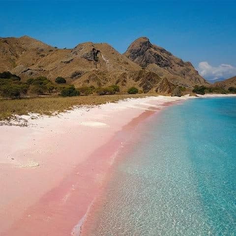 Pink shoreline and hills at Pink Beach Lombok