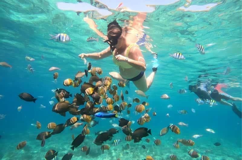 Snorkeling through a school of fish near Gili Trawangan