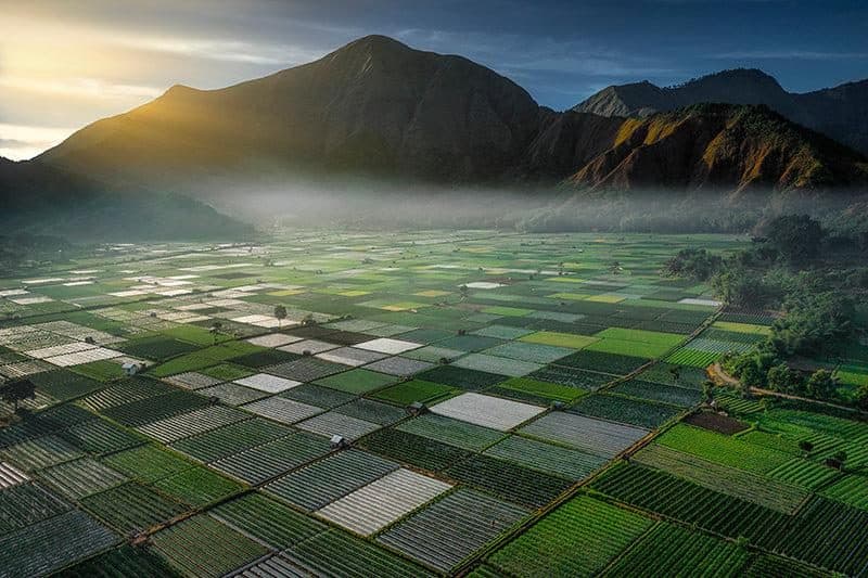 Morning mist drifting over Sembalun’s agricultural patchwork