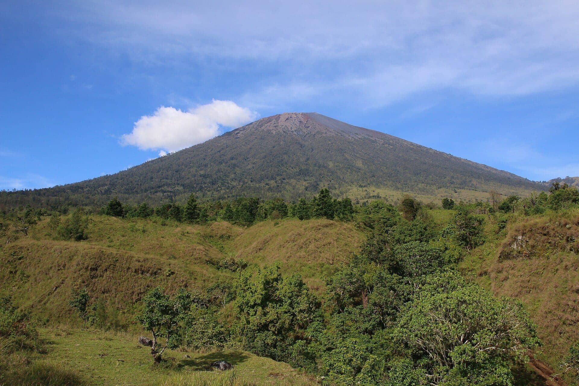 Mount Rinjani from the Sembalun trail, with grassy hills in the foreground