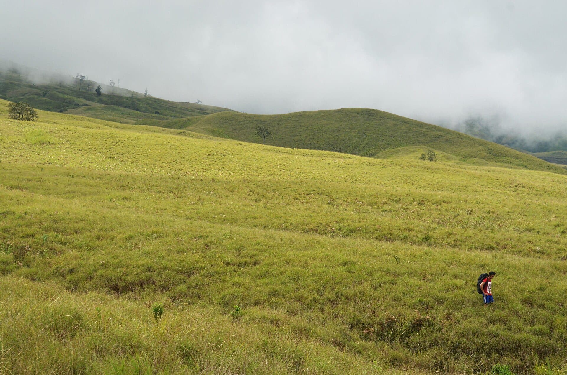 A hiker crossing the savanna near the Sembalun Rinjani trail