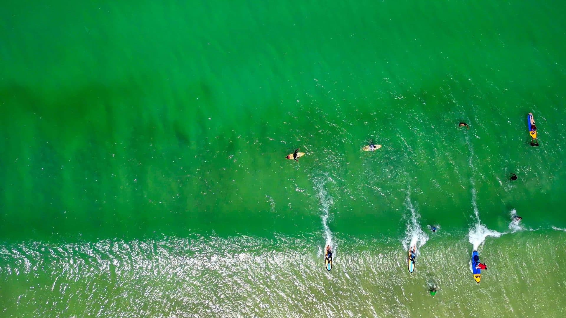 Aerial lineup of surfers